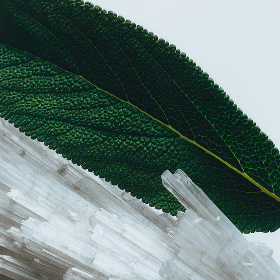 BODY SPRAY JO MALONE WOOD SAGE & SEA SALT